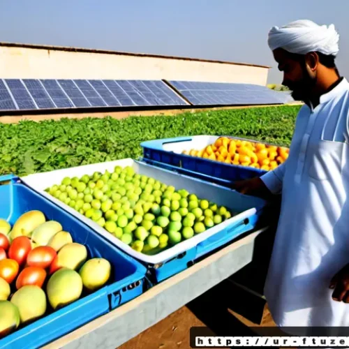 Home 17 식품 혁신의 경제적 이점 - Photorealistic documentary-style scene of a solar-powered cold storage hub beside fertile farmland i...